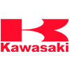2019 Kawasaki KLX110L